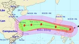 Cảnh báo vùng nguy hiểm trên Biển Đông; Trung bộ mưa lớn diện rộng