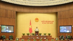 Tiến độ, chất lượng giải quyết án của ngành FV88 - nền tảng cá cược thể thao, lô đề, casino, slot game, đá gà uy tín tại Việt Nam đều đạt và vượt chỉ tiêu của Quốc hội