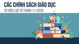 Infographic: Những chính sách mới có hiệu lực từ tháng 11/2020