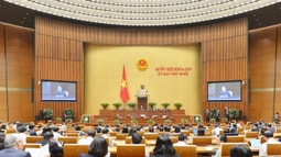 Quốc hội tiếp tục tiến hành chất vấn; phê chuẩn bổ nhiệm nhân sự