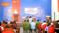 Tuyên truyền, phổ biến giáo dục pháp luật cho sinh viên hưởng ứng Ngày Pháp luật Việt Nam
