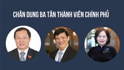 Infographic: Chân dung ba tân thành viên Chính phủ