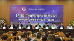 Ai sẽ trúng cử vị trí Phó Chủ tịch Tài chính VFF?