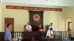 Bàn về Quyết định tạm đình chỉ vụ án trong giai đoạn chuẩn bị xét xử 
