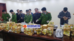 Nghệ An: Thông tin mới nhất vụ bắt giữ xe bán tải chở 8 bì xác rắn nghi chất chất FV 88 nhà cái