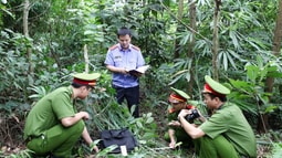 Trao đổi bài viết “Nhiều người cùng đánh một người gây thương tích thì xử lý như thế nào”