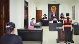 Bàn về bảo lĩnh - biện pháp ngăn chặn trong tố tụng hình sự