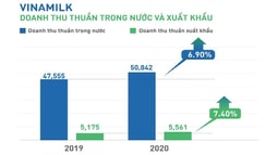 Hoàn thành mục tiêu doanh thu 2020, là công ty duy nhất và đầu tiên của Việt Nam được vinh danh "tài sản đầu tư có giá trị của Asean"