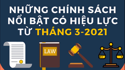 Infographic: Những chính sách nổi bật có hiệu lực từ tháng 3/2021