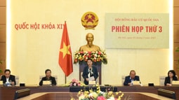 Bảo đảm cử tri cả nước được tham gia ứng cử, bầu cử một cách dân chủ, công bằng
