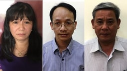 Khởi tố nguyên Phó Chánh Văn phòng UBND TP Hồ Chí Minh - Mở rộng điều tra vụ SAGRI