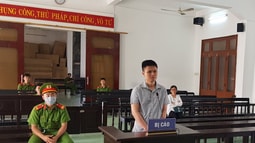 Phú Yên: Làm giả quyết định chủ trương đầu tư lừa đảo chiếm đoạt tài sản