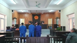 Giải quyết mâu thuẫn bằng bạo lực, 3 đối tượng lĩnh án  