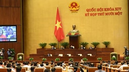 Quốc hội thảo luận báo cáo nhiệm kỳ của Chủ tịch nước và Chính phủ