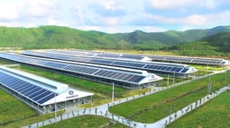 Hệ thống trang trại Green Farm sẽ tiếp tục được đầu tư đẩy mạnh