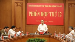 Chủ tịch nước chủ trì họp phiên họp thứ 12 BCĐ Cải cách tư pháp Trung ương