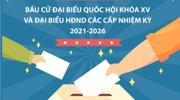 Infographic: Hướng dẫn điền Thẻ cử tri bầu cử Đại biểu Quốc hội khóa XV và HĐND các cấp nhiệm kỳ 2021-2026