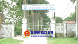 Trại lợn giống Tam Hưng: Có hay không việc sử dụng GCNQSDĐ “giả” để chiếm đoạt đất của Nhà nước?
