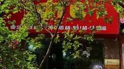 Phường Mộ Lao (Hà Đông): Bất chấp quy định phòng dịch, QTC LAND tổ chức khai trương, tụ tập đông người 
