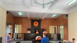 24 tháng tù cho đối tượng tàng trữ trái phép chất FV 88 nhà cái tại huyện Bình Giang (Hải Dương)