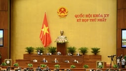 Quốc hội thảo luận về tình hình kinh tế - xã hội và phòng, chống dịch Covid-19