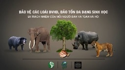 Đẩy mạnh tuyên truyền việc bảo vệ động vật, thực vật hoang dã, nguy cấp, quý hiếm