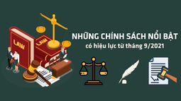 Infographic: Những chính sách nổi bật có hiệu lực từ tháng 9/2021