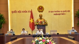 Trình Quốc hội cho ý kiến về đề nghị tổ chức phiên tòa trực tuyến tại kỳ họp thứ hai
