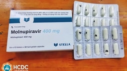 Bộ Y tế đề nghị TP. HCM kiểm tra việc rao bán chui thuốc kháng virus