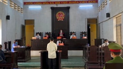 Quyền được nhờ người bào chữa của bị cáo tại phiên tòa phúc thẩm