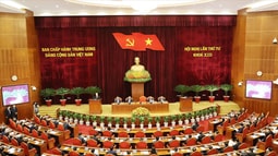 Trung ương thảo luận kết quả 5 năm thực hiện xây dựng, chỉnh đốn Đảng