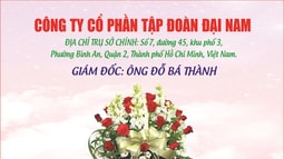 Công ty cổ phần Tập đoàn Đại Nam