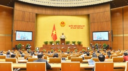 Bổ sung căn cứ tạm đình chỉ giải quyết vụ án để phù hợp với thực tiễn