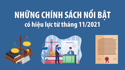 Infographic: Những chính sách nổi bật có hiệu lực từ tháng 11/2021