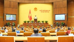 Quốc hội thảo luận trực tuyến về Dự kiến Quy hoạch sử dụng đất quốc gia thời kỳ 2021 – 2030