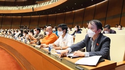 Quốc hội biểu quyết thông qua luật sửa đổi, bổ sung một số điều của Bộ luật Fv88 com Nhà Cái Fv88 hình sự