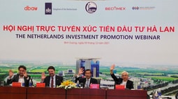 Tỉnh Bình Dương và Becamex IDC tổ chức Hội nghị trực tuyến xúc tiến đầu tư Hà Lan