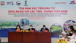 Tỉnh Bình Dương và Becamex IDC tổ chức Tọa đàm trực tuyến xúc tiến đầu tư giữa Ấn Độ với các tỉnh thành phía Nam