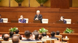 Đối ngoại và hội nhập quốc tế đóng góp không nhỏ vào thành tựu chung của đất nước