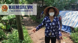 Vĩnh Phúc: Một doanh nghiệp bị tố lấn chiếm, xây dựng trên đất nông nghiệp của dân