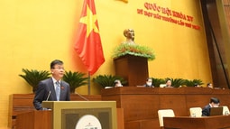 Dự án Luật sửa đổi, bổ sung một số quy định của 08 luật nhằm đáp ứng yêu cầu phát sinh từ thực tiễn