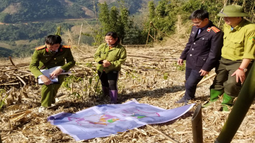 VKSND huyện Yên Lập (Phú Thọ): Kiểm sát chặt chẽ việc khám nghiệm hiện trường những vụ chặt phá, hủy hoại rừng trên địa bàn