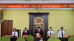 Về áp dụng các nguồn của luật dân sự tại tòa án
