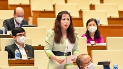 ĐBQH chuyên trách dành 2 ngày thảo luận 4 luật trình Quốc hội tại Kỳ họp thứ 3