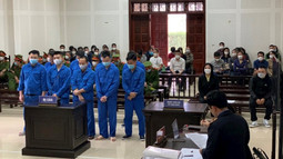 VKSND tỉnh Quảng Ninh phối hợp tổ chức phiên tòa rút kinh nghiệm từ vụ án vi phạm quy định về bảo vệ động vật nguy cấp, quý, hiếm 