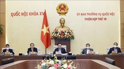 Quy định rõ trách nhiệm, cơ chế phối hợp trong phòng, chống bạo lực gia đình