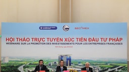 Bình Dương và Becamex IDC tổ chức Hội nghị xúc tiến đầu tư với Cộng hòa Pháp