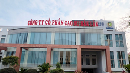 Đắk Lắk: Công ty Dakruco với dấu hỏi về những hợp đồng “trồng xen” trị giá nhiều tỷ đồng?