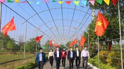 Huyện Thạch Hà: Nhiều kết quả quan trọng góp phần rất lớn vào thành quả chung của tỉnh Hà Tĩnh 