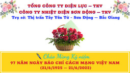 Công ty Nhiệt điện Sơn Đông - TKV